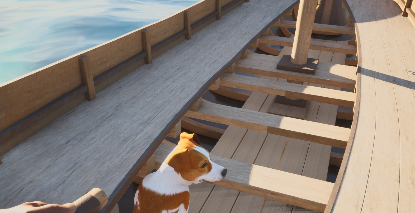 El perro en el interior del llaüt, entre los bancos y la estructura de madera
